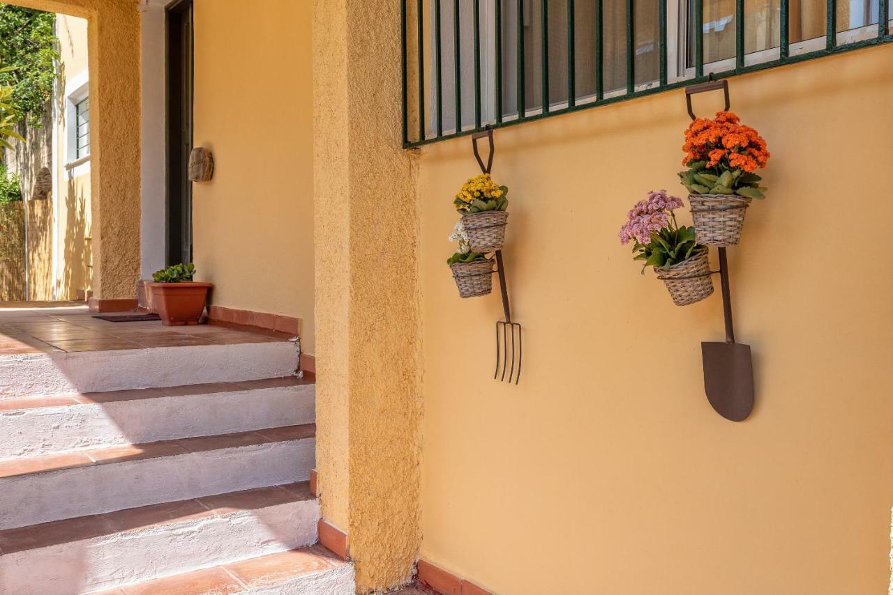Verde E Mare Villa & Apartment Tsilivi (Zakynthos) Exterior foto